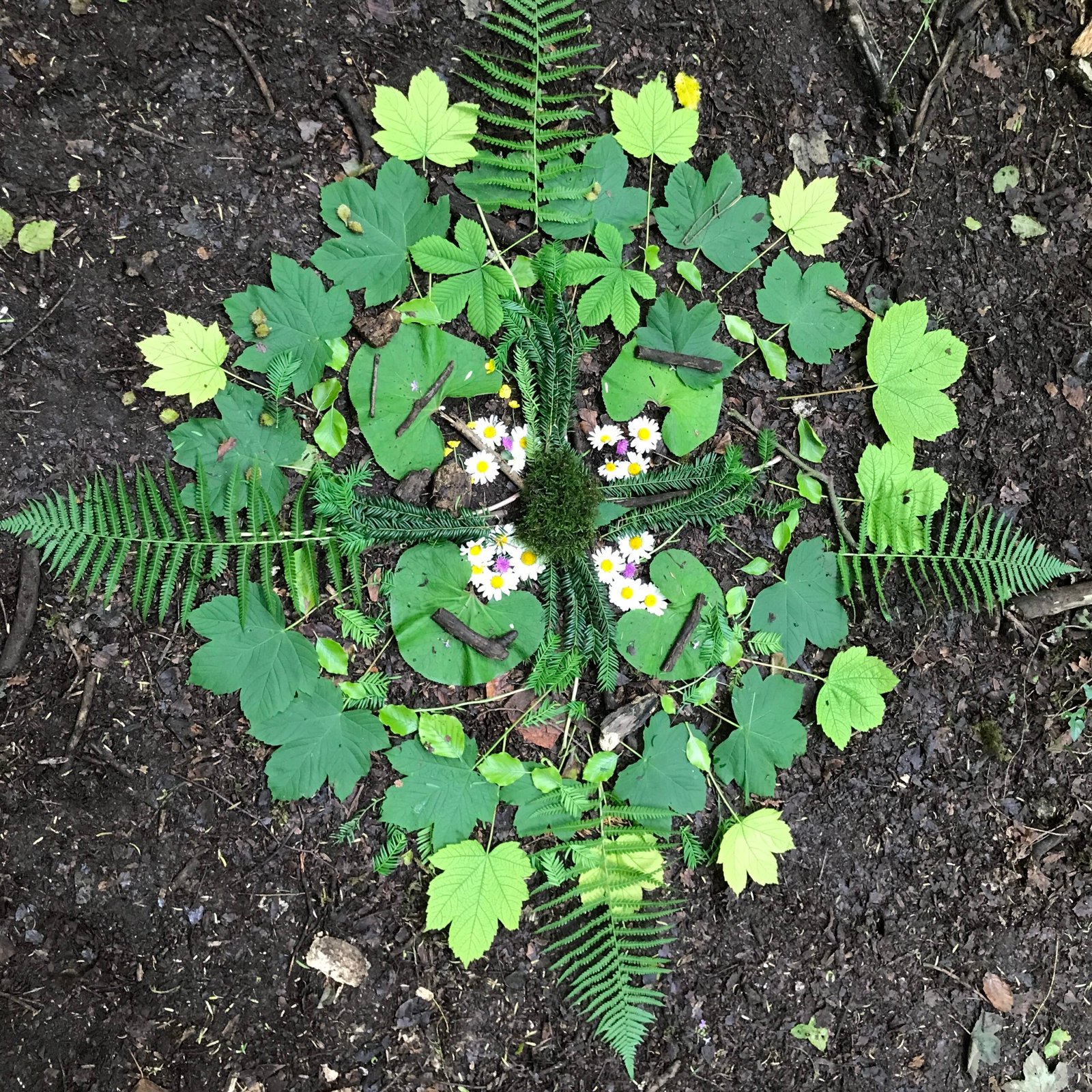 A grief mandala made from natural materials