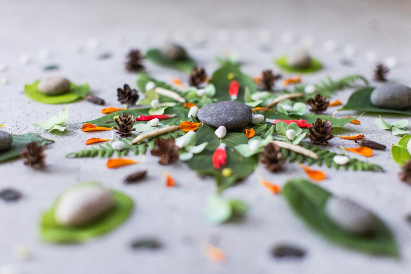 A mandala of natural materials